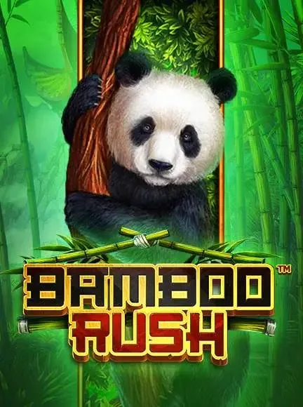 Bamboo Rush Spielautomat